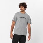 Salomon Sal Logo Perf Erkek Gri Tişört - 2XL