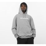 Salomon Sal Logo Perf Hoodie Erkek Gri Sweatshirt - XL