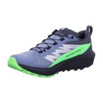 Salomon Sense Ride 5 Gore-Tex Patika Koşu Ayakkabısı, 44 EU, L47312800, Flint Stone/Black/Green Gecko, Erkek