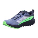 Salomon Sense Ride 5 GTX Flint/B erkek koşu ayakkabısı, Çakmaktaşı Siyah Yeşil Gecko, 44 2/3 EU