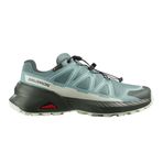Salomon SPEEDCROSS PEAK GORE-TEX Koşu Ayakkabısı, 39.5, L47974500, Gri, Kadın
