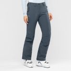 Salomon The Brilliant Kadın Kayak Pantolonu LC1392900 - Gri