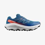 Salomon Ultra Flow 2 Gore-Tex Erkek Koşu Ayakkabısı L47981500
