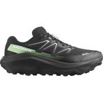 Salomon Ultra Flow 2 Goretex Koşu Ayakkabısı, 41, 109-L47981400-2, Siyah, Erkek