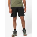 Salomon Wayfarer Ease Shorts Erkek Şort