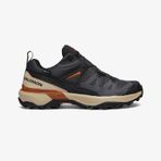 Salomon X Ultra 360 Gore-tex Erkek Siyah-krem Outdoor Ayakkabı Düz L47687000 Siyah