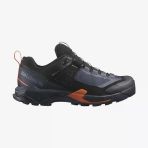 Salomon X Ultra Alpıne Gtx Erkek Ayakkabı L47686200