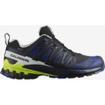 Salomon Xa Pro 3D V9 Gore-Tex - Siyah