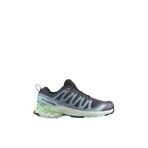 Salomon Xa Pro 3D V9 W Outdoor Ayakkabı, 39 EU, L47748000, Gri, Kadın