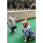 Salya Store Grafiti Design Köpek Montu - Mavi - 2XL