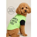 salya store Köpek Elbisesi, Baskılı Köpek Ince Tshirt