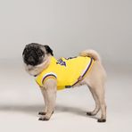 SALYA STORE Köpek Yazlık Forma Lakers (Küçük ırklar için 0-15kg) (Small)