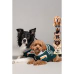 salya store Nefti yeşili köpek sweatshirt brooklyn, küçük, orta ve büyük ırk köpek kıyafeti