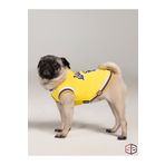 salya store (yeni) Lakers Yazlık Köpek Forma (kedi,köpek Kıyafeti Küçük Irklar) LAKERS-S