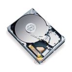 Samsung 160GB 7200RPM 8MB SATA2 Sabit Disk HD161GJ