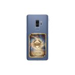 Samsung Galaxy S9 Plus ile Uyumlu Burç Kartları Yangeç Tasarımlı Şeffaf Silikon Kılıf