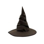samur parti parti aksesuar & kostüm Harry Potter Seçmen Şapkası Çocuk Boy