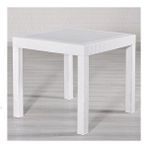Sandalie Rattan Beyaz 80x80 cm Bahçe Masa