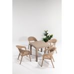 Sandalie Rattan Camsız Masa Takımı, Garden Sandalye