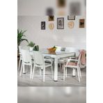 Sandalie Rattan Large Lüx Camlı Beyaz Masa Takımı Bahçe&Balkon 1 Camlı Masa + 6 Sandalye