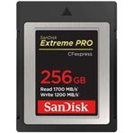 Sandisk Extreme Pro 256GB CFExpress Type B Hafıza Kartı