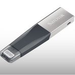 Sandisk SDIX40N-256G-GN6NE Flash Bellek