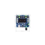 SANEC 2 x 100W Bluetooth 5.0 Amfi Devresi TDA7498 TF Kart XH-A105