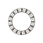 SANEC Cjmcu Neopixel 16 Led Halka - Arduino A.1502