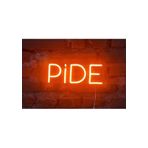 SANEC Pide Neon Led Duvar Aydınlatması