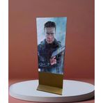 Sanec Poster LED Ekran 100X50CM