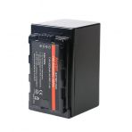 Sanger Panasonic VW-VBD58 Şarj Cihazı