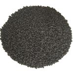 Sanita 1 kg Pırasa Tohumu