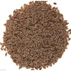 Sanita 250 gr Karnıyarık Tohumu
