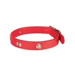 Sanlian 1,5 cm x 35 cm Köpekler İçin Pati-Kemik Desenli Boyun Tasması