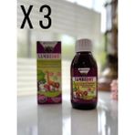 SANMARK Sambujoy Multivitamin ve Multimineral İçeren Çilek Aromalı Sıvı Takviye Edici Gıda 3'lü