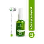 Santelive Nane Limon Okaliptus Nefes Tazeleyici Ağız Spreyi Alkolsüz Anında Ferahlık 30 ml