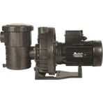 Santem Vısco 1 Hp 0.74 Kw Monofaze Havuz Pompası
