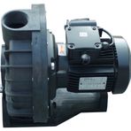 Santem Visco 2 HP 1.5 Kw Monofaze Ön Filtresiz Jakuzi Serisi