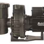 Santem Vısco 2 Hp 1.5 Kw Trifaze Havuz Pompası