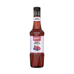 Saphori Kokteyl Şurubu Kahve Şurubu 700 ML Aroma, Tatlandırıcı şurup, Gazlı içecekler ve Çaylar İçin Aroma verici (Berry Hibisküs)