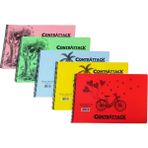 Saray 3 Adet Plastik Kapak Spiralli Resim Defteri 25 x 35 cm 25 Yaprak - Renkli