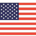 Saray Amerika Bayrağı 30x45