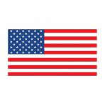 Saray Amerika Bayrağı 50x75