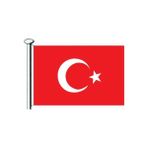 Saray Türk Bayrağı 100x150