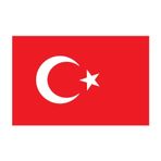 Saray Türk Bayrağı 60x90