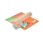 Sarff 250 Micron A4 100 Adet Teslin