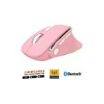 Sarftech Kablosuz Ergonomik Zarif Tasarım Rgb Dual Moude 2.4Ghz+Bt5.0 Ofis Ve Gaming Oyuncu Faresi