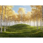 Sarı Ağaçlar ile Dolu Güneşli Bir Orman Arka Plan, 200X150CM, Stüdyo Fonu
