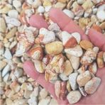 Sarı Çizgili Dolomit Taş 3 kg 1-2 cm Bahçe ve Akvaryum Süs Taşı - Seçenek 1 - Altın