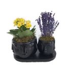 Sarı Kalanşo Kalanchoe & Kokulu Lavanta & Siyah Face Beton Saksıda Hediyelik Canlı Çiçek BALFLOWERDESİGN-2574